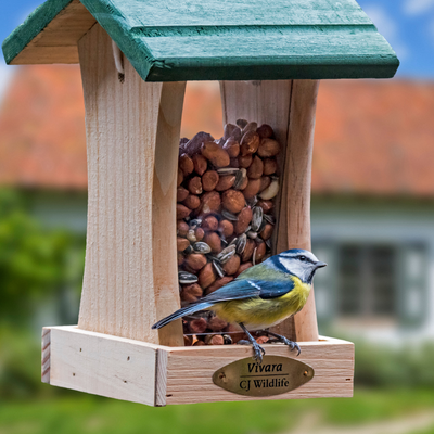 Gardeners are being urged to check their bird feeders before it rains – birds could be put in danger if you don’t