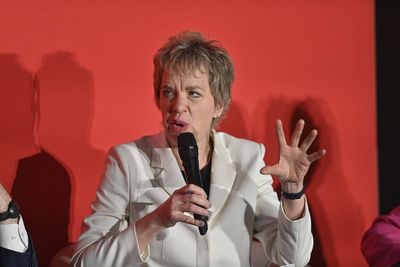 Government should pass ban on Israeli settlements trade before Christmas – Bacik