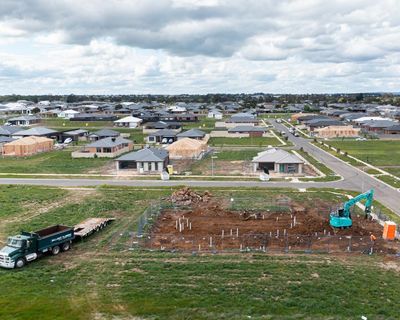 Biodiversity offsets didn’t work in NSW. Will Labor make the same mistake nationwide?