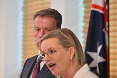 Factchecking five Coalition claims about net zero, from power prices to the $9tn cost