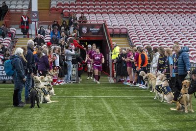 Guide Dogs puppies form guard of honour at Premiership Women’s Rugby match