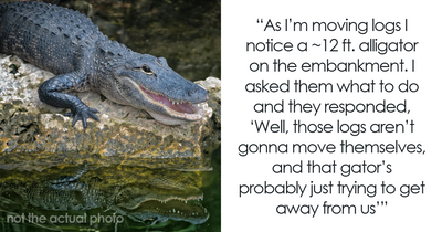 50 Times Wildlife Reminded Humans They’re Not Nearly As Tough As They Think