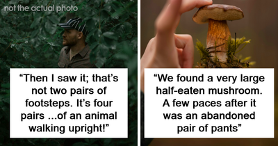 “Subject Deceased”: 35 National Park Employees And Rescue Officers Share Their Scary Job Stories