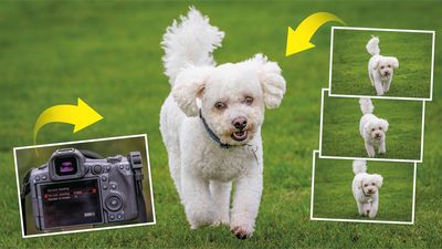 This Canon camera feature takes a photo before you've even pressed the shutter button! Now that's what I call magic