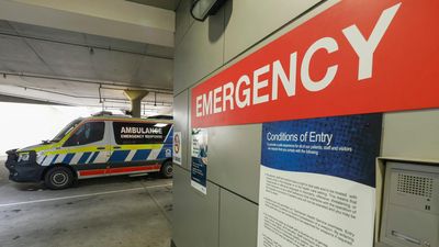 State's bid for more cash in public hospital crisis fix