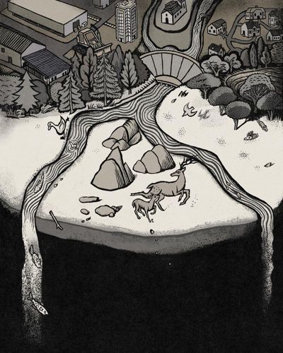 The last frontier of empathy: why we still struggle to see ourselves as animals