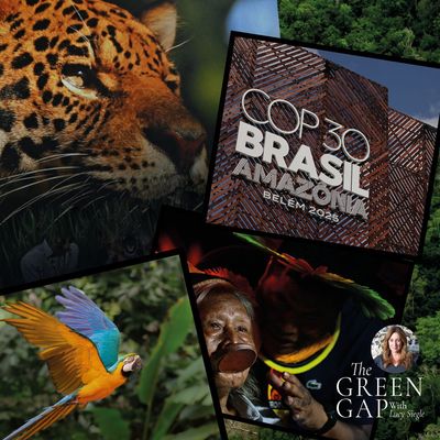 As COP30 Kicks Off in Brazil — Why the Annual Climate Conferences Are Confusing, Chaotic, Exhausting, and 100% Necessary