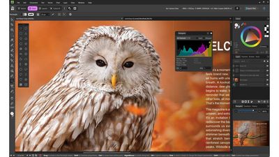 Affinity by Canva review: free is the magic number