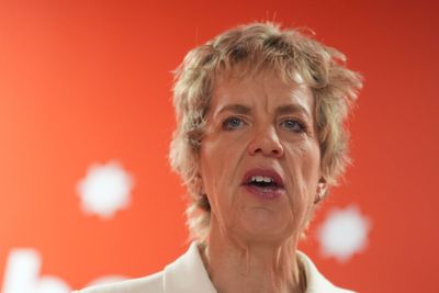 Irish Labour leader Ivana Bacik says Irish unity stance is not about Sinn Fein