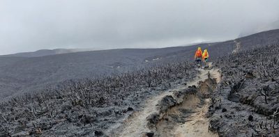 The fire is out, but Tongariro is now at risk of losing its unique biological legacy