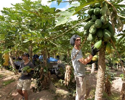 There are many ways to spend your gap year that will reward you later