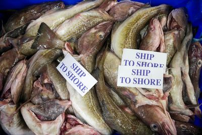 Government warned over flagship post-Brexit fisheries law