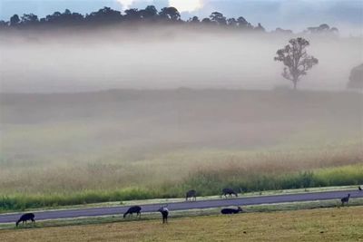 Cold spell for upper Thailand as temperatures set to drop 4–7°C