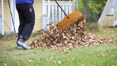 7 Best Fall Side Gigs To Boost Your Income — ChatGPT Gives Top Picks