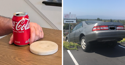 50 Times People Captured The Most Annoying Moments Of Living With Family (New Pics)