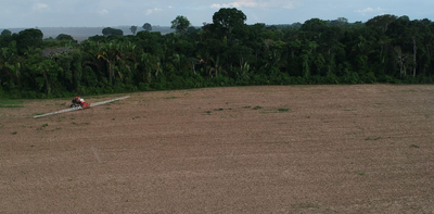 “Expulsion by suffocation”: how soy expansion and herbicide use are displacing Amazonian communities