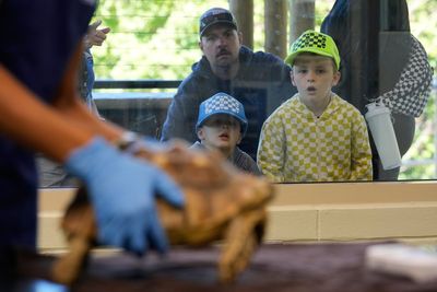 Visitors to a New Jersey zoo get to watch veterinarians treat the animals