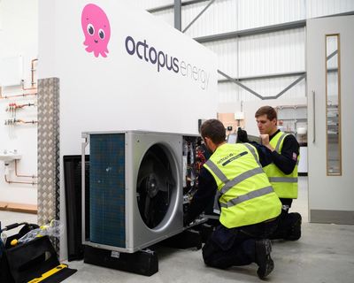 Scrapping green subsidies is short-termist sabotage – and as usual the consumer will pay