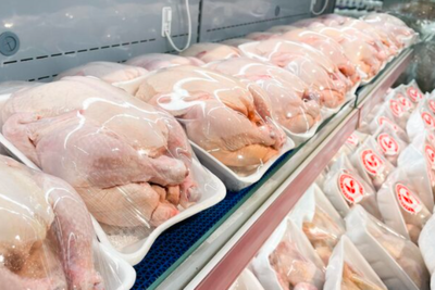 US Thanksgiving Panic Looms: Turkey Supply Falls to Lowest Level Since 1985, Sending Prices Up by 40%