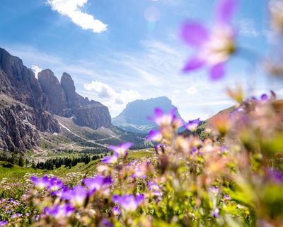 Share a tip on a favourite European travel discovery of 2025