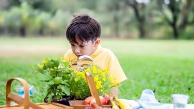 7 Fall Garden Chores Kids Can Help With