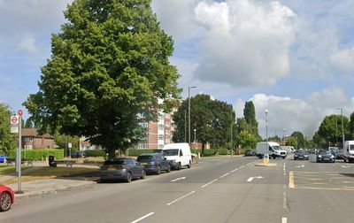 £1m bus lane in north London scrapped over safety fears