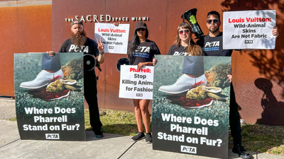PETA Slams LV Creative Director Pharrell Williams for 'Lack of Innovation' — Why Still Use Fur From Wild Animals?