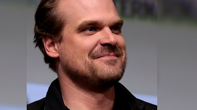 David Harbour Humiliated: Johnny Depp, Lilly Allen's Ex Bond Over 'Train Wreck' Divorces