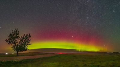 How the sun threatens your nuts: Inside the $100 million solar storm peanut problem