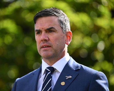 Victorian Liberal party ousts Brad Battin to install Jess Wilson as first female leader