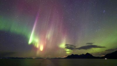 Is an aurora cruise worth it? I joined Hurtigruten's Signature Voyage to find out