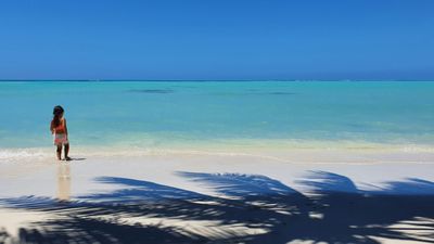 Moana Live-Action Reveal: What the Confirmed Cast Tells Us About the Story Ahead