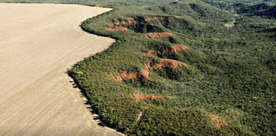 Between ‘breadbasket of the world’ and ‘guardian of the Amazon’, Brazil remains unable to solve its environmental dilemma