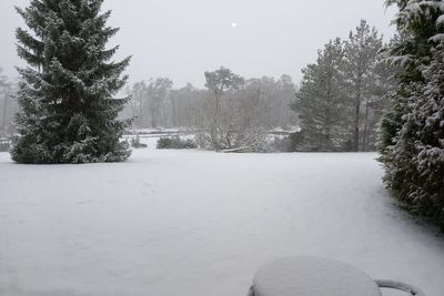 Yellow weather warning continues in Scotland, covering most of the country