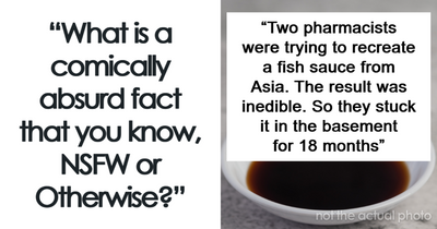 People Share 44 Facts That Completely Changed How They Think About, Well, Everything