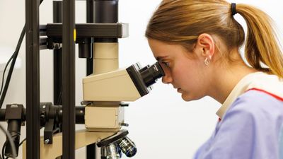 Minister supports 'necessary' CSIRO refocus, job cuts