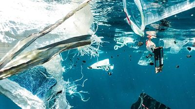 ‘Existential threat’: How small doses of ocean plastic are killing off marine life