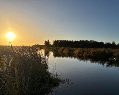 Wetlands and wildlife in the Netherlands: slowing down and connecting with nature in Friesland