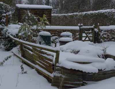 Why Compost Should Be Covered Before Snow