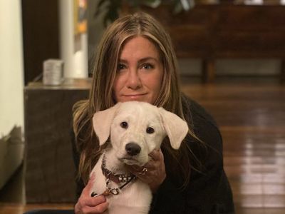 Dogs Over Jim Curtis? Jennifer Aniston's Beloved Pets Prevent NY Relationship