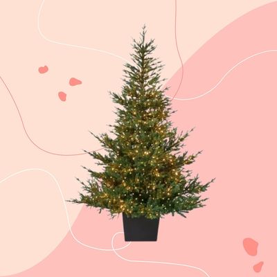 John Lewis’ bestselling Christmas tree is back in stock – but I recommend snapping up this top-rated tree while you still can!