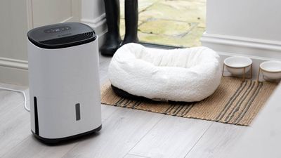 This Meaco dual dehumidifier is small, quiet and has a special laundry mode