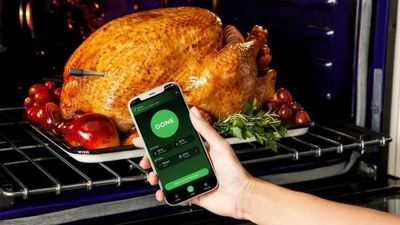 The Ninja ProChef Thermometer Finally Stopped My Recurring Thanksgiving Nightmare – Dry Turkey is a Thing of the Past