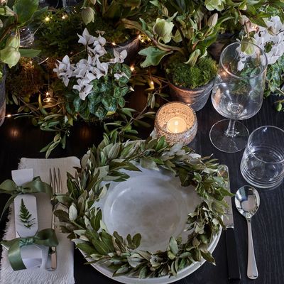 These 7 beautiful winter-flowering house plants will add festive colour and cheer to your home when it’s grey and gloomy outside