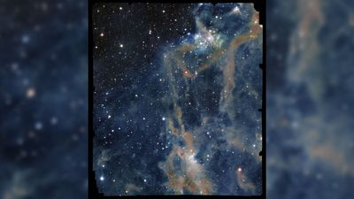 Euclid space telescope sees gorgeous cosmic cloud | Space photo of the day for Nov. 18, 2025