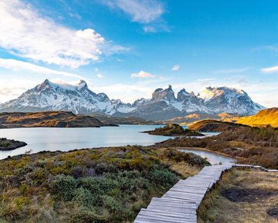 British woman among four tourists killed in blizzard at nature reserve in Chile