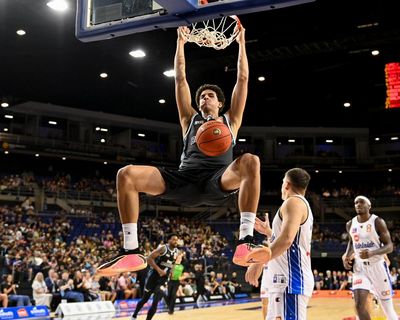 ‘It just went boom’: NZ model shows others how to capitalise on sports betting surge