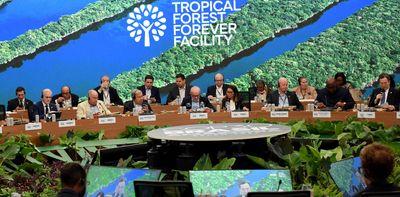 Far beyond the climate crisis: COP30 must seek to build a new model of civilisation