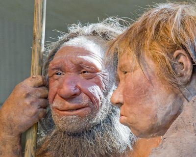Neanderthals and early humans ‘likely to have kissed’, say scientists