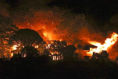 One killed and at least 170 homes damaged as huge fire tears through southern Japan